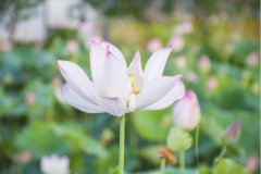 岳麓區(qū)網(wǎng)站設(shè)計(jì)公司該如何選擇？